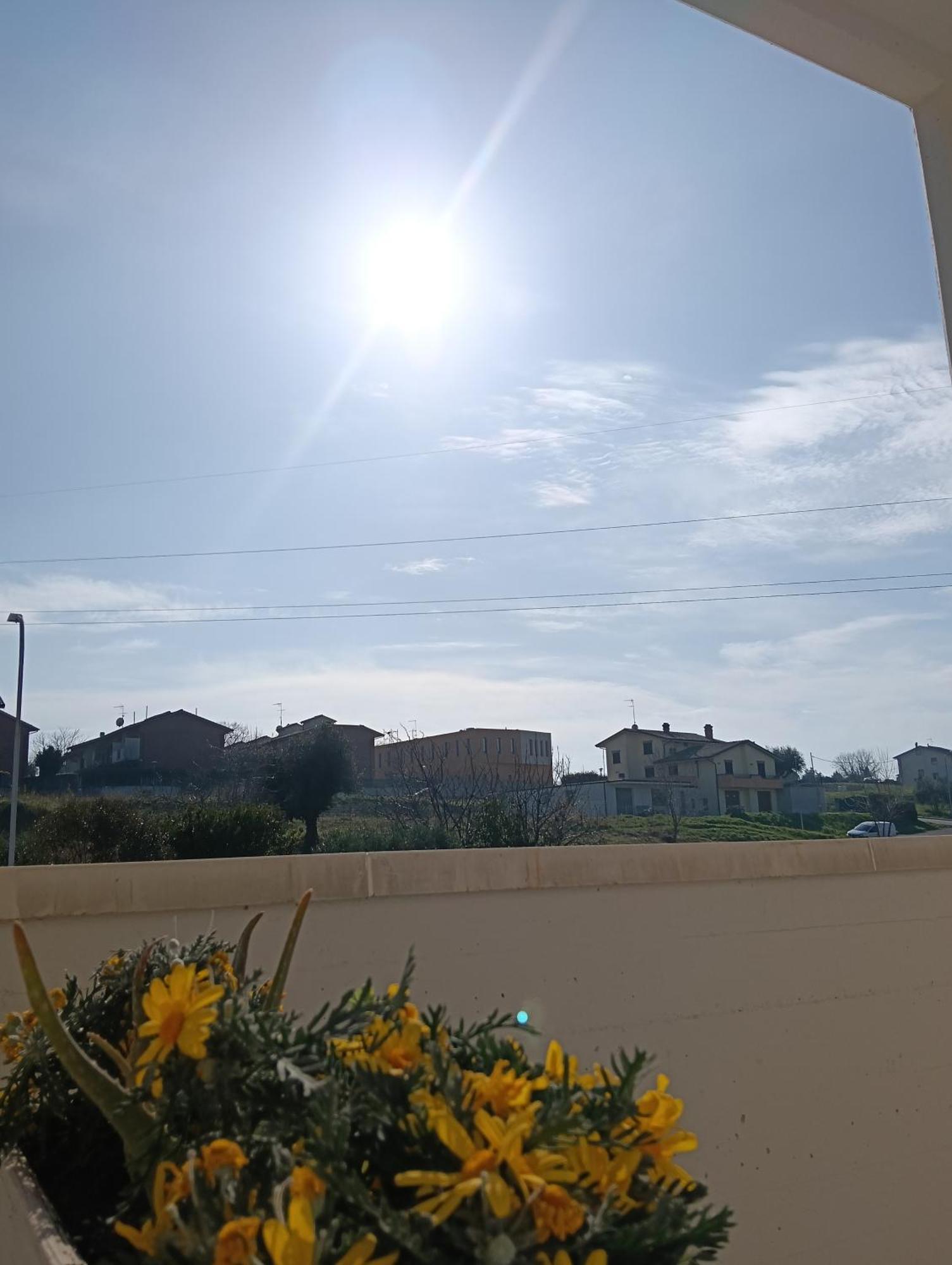 La Principessa Nera B&B Ostra Rum bild